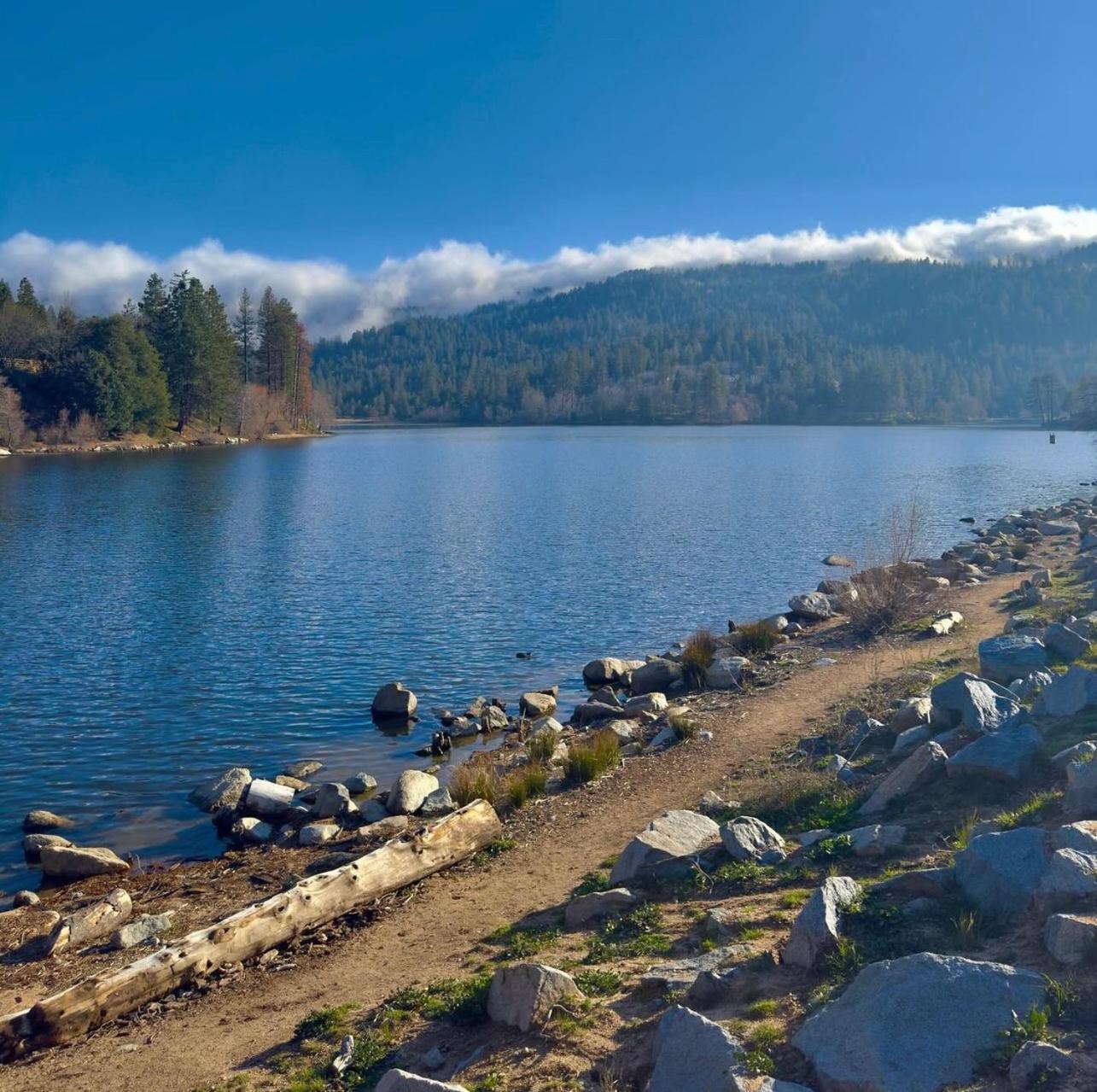 Bluebird Cabin Crestline Εξωτερικό φωτογραφία